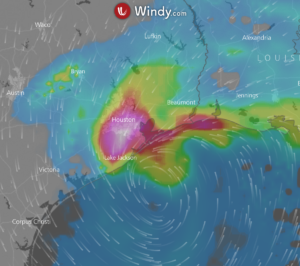 Hurricane-Harvey-Windy