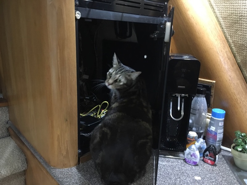 Picture of a cat "helping" in a tech cabinet
