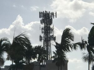 Cellular tower in Naples, Florida