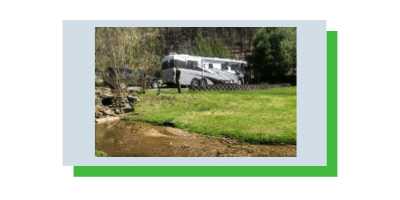 Photo of a man and a cat in green grass with a Class A RV behind them