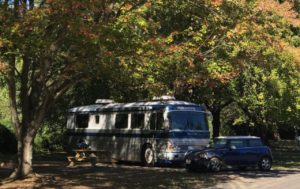 Photo showing a white bus conversion RV with a blue mini cooper parked in front of it in a shaded campsite