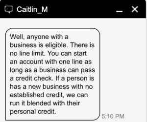 Verizon Business eligibility from a customer service chat