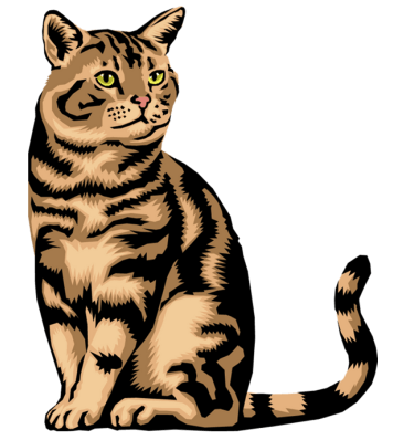 Illustration of Kiki the cat.